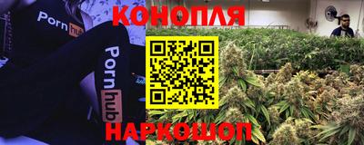 амф Краснознаменск