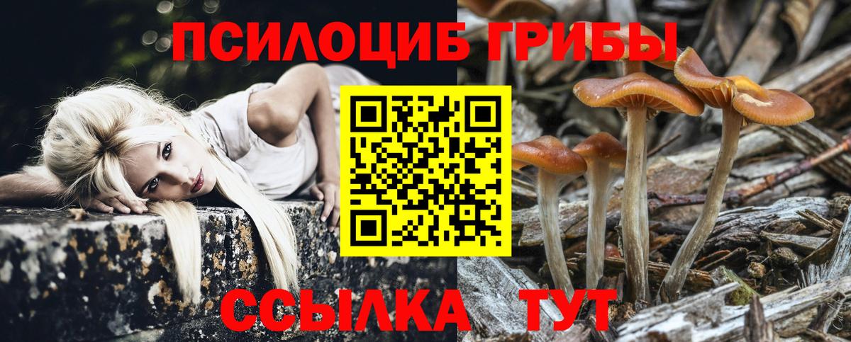 Галлюциногенные грибы ЛСД Кимры