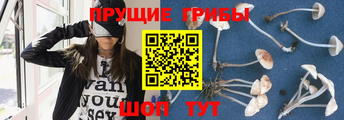 Галлюциногенные грибы Magic Shrooms  Псилоцибиновые грибы Magic Shrooms  хочу   Вход с VPN  Кимры 